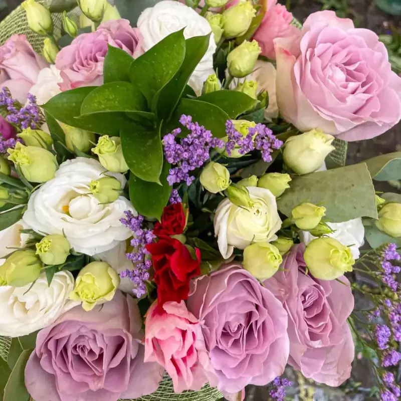 Pippo campo de' fiori - Mazzo