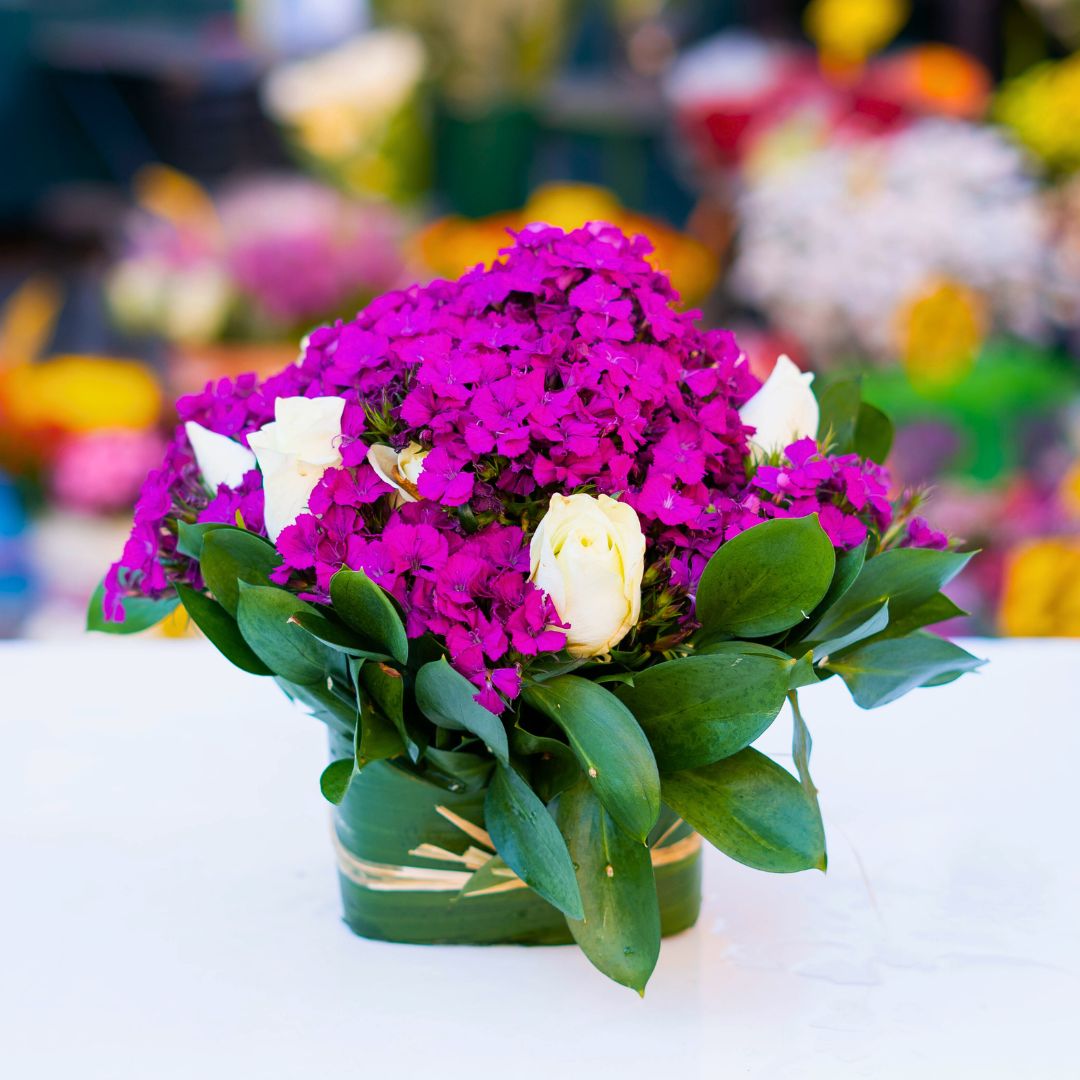 Progetto senza titolo